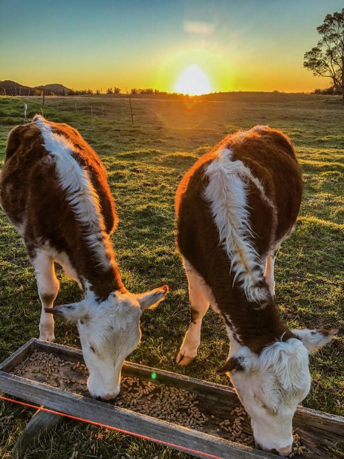 White Caps Kaikoura Farmstay Экстерьер фото