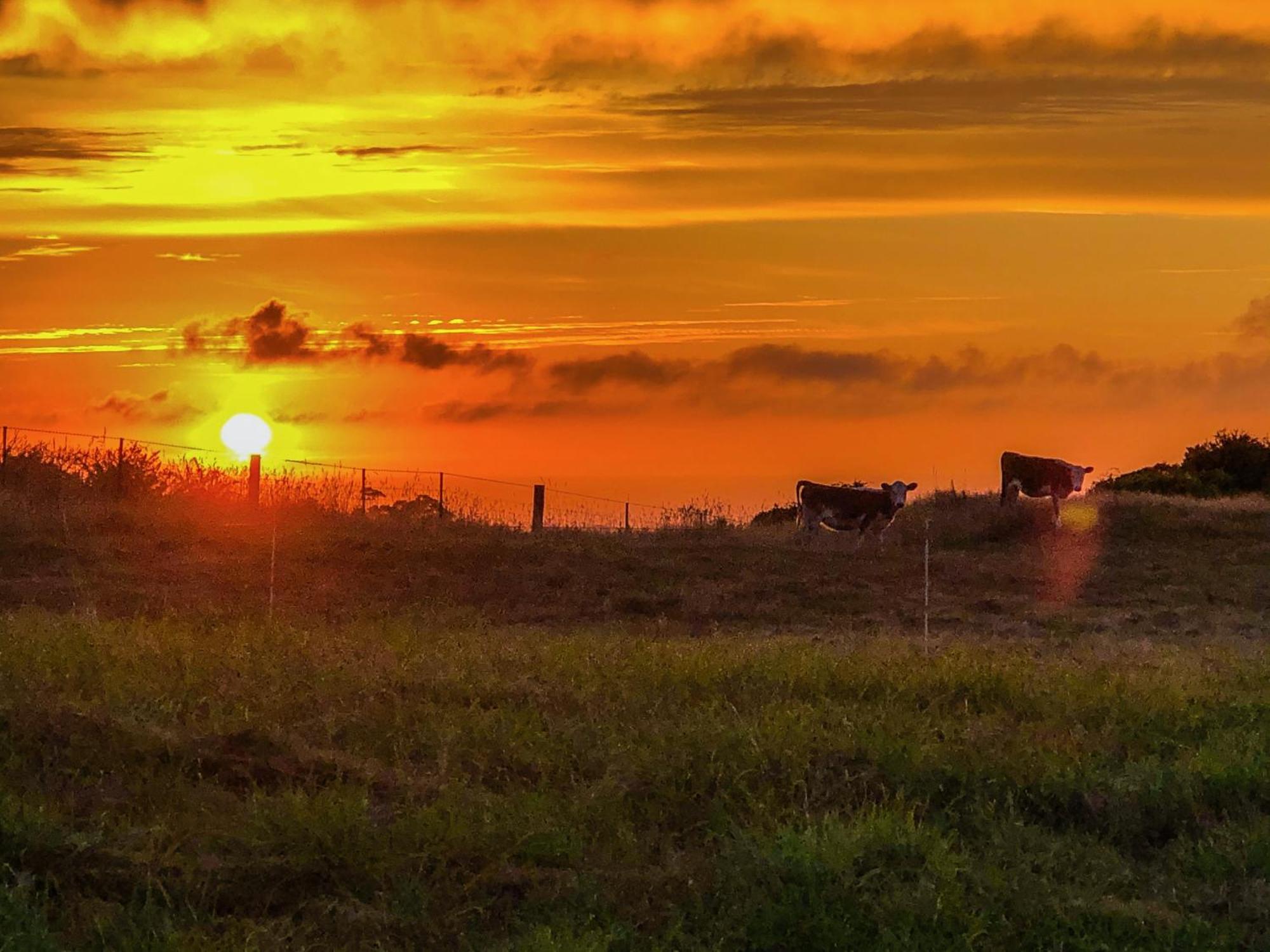 White Caps Kaikoura Farmstay Экстерьер фото