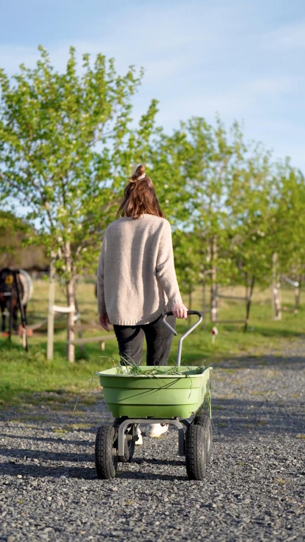 White Caps Kaikoura Farmstay Экстерьер фото
