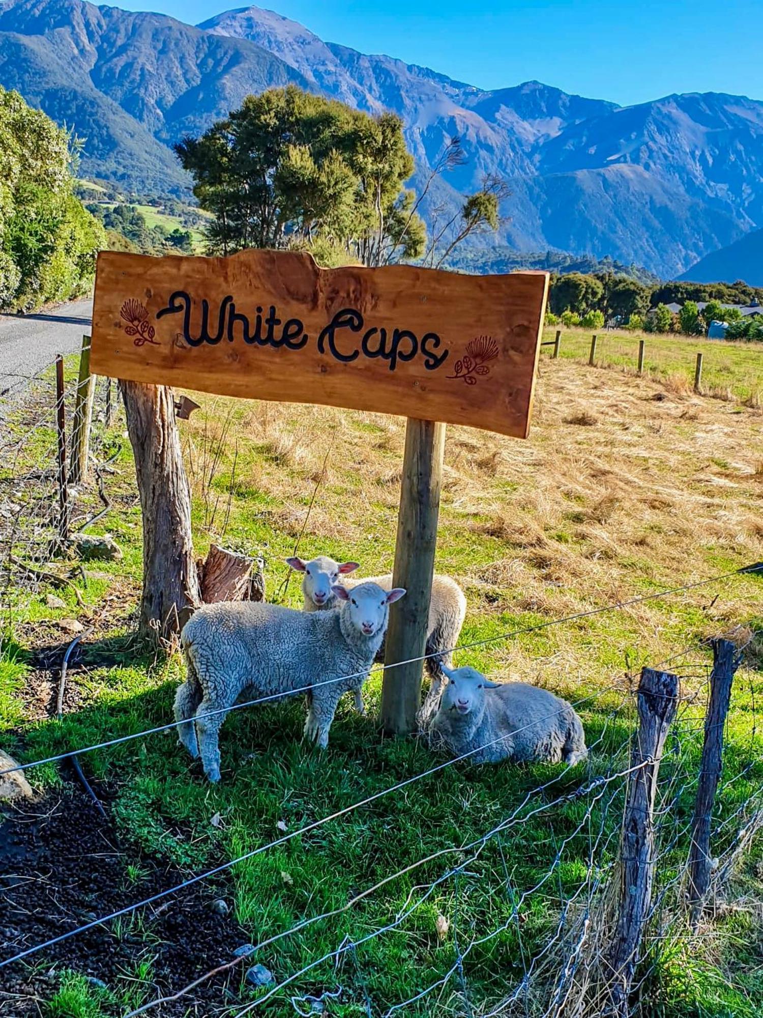 White Caps Kaikoura Farmstay Экстерьер фото